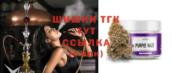 шишки Алзамай