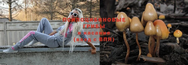 шишки Алзамай