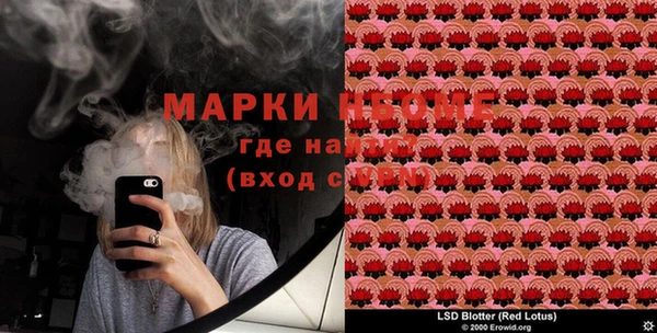 шишки Алзамай