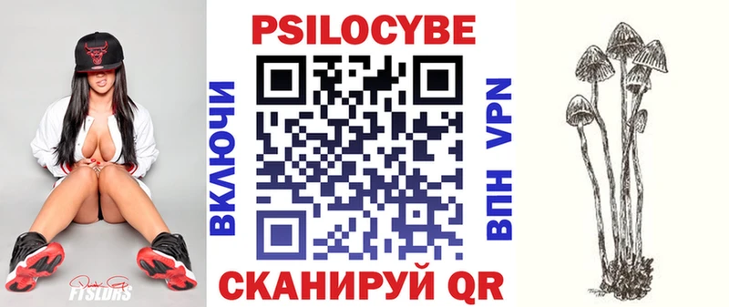 наркота  Динская  Псилоцибиновые грибы прущие грибы 