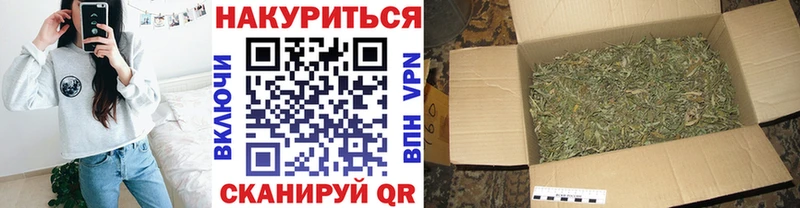 Бошки Шишки планчик  Динская 